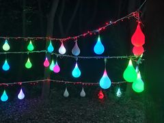 -昆山城市生态森林公园