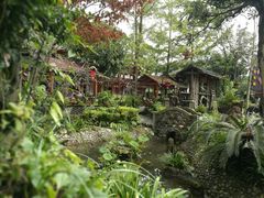 -青城甲(青城山店)