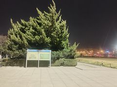 -大连人民广场