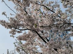 -石湖景区