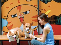 -白云宾馆·白云宴餐厅