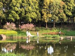 -美兰湖景区