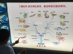 -上海昆虫博物馆