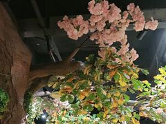 -城墙拐拐火锅(三峡广场黑金冠店)