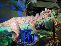 -恐龙探索乐园(磁器口店)