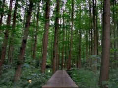 -上海怡沁园度假酒店