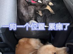 -安吉龙王山峡谷漂流