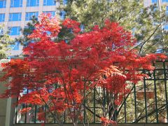 -北京市公安局公安交通管理局西城交通支队停车场