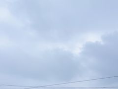 -空中草原