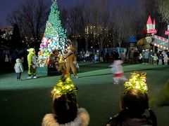 -北京梧桐树双语幼儿园