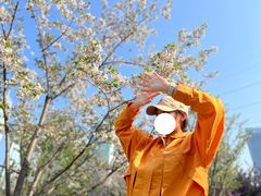 -西北湖绿化广场