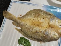 -桃夭日式料理(国信店)