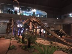 -自贡恐龙博物馆