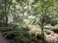 -赤水丹霞旅游区·佛光岩