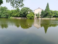 -长田漾湿地公园