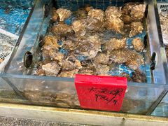-洲晓鱻舟山海鲜(2号店)