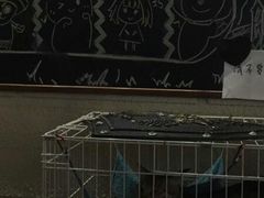 -逃脱反斗城沉浸剧情密室(北京路店)