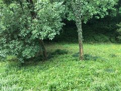 -西湖风景区-江洋畈生态公园