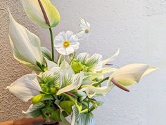-荷兰布尔玛国际花艺学院
