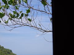 -三亚亚龙湾人间天堂鸟巢度假村