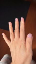 -BELLAREAL新美社