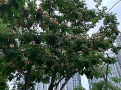 -碧桂园泰富城售楼部