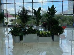 -耕海蟹将军(万象城店)