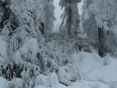 -瓦屋山景区