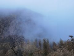 -藏龙百瀑风景区