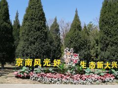 -大兴滨河森林公园