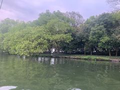-西湖游船