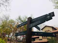 -静园(和平区)