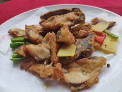 煎焗鱼头-绿雅居原生态农庄(小涌店)