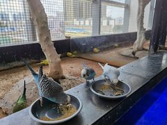 -昆明大悦城未来动物城(螺蛳湾中心店)