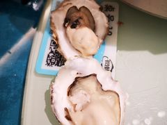 -千岛蚝高压锅生蚝·人参火锅(白云万达店)