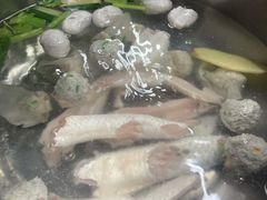 -章记正宗南岗鱼蛋火锅