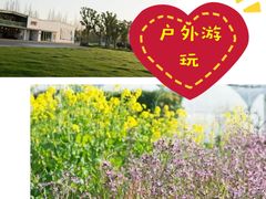 -前小桔亲子创意农场·草莓采摘·露营烧烤