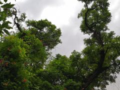 -湘子庙