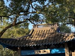 -浙江省博物馆(孤山馆区)