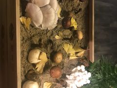 -番食园鲜食火锅(高新店)