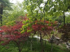 -西安市长乐公园
