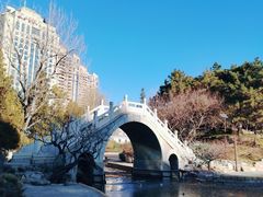 -团结湖公园