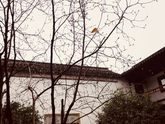 -苏州文旅花间堂·探花府酒店