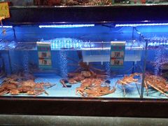 -阿伟海鲜楼·福建菜(延寿店)