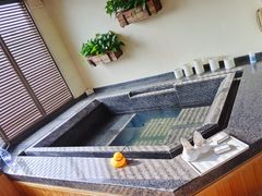 -春晖园度假酒店温泉