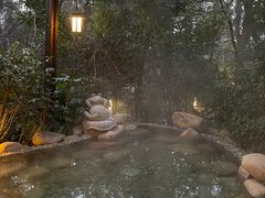 -天目湖涵田半山温泉