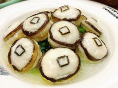 -丁老爷子苏香圆