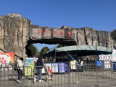 -合肥野生动物园
