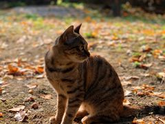 -四川大学(华西校区)