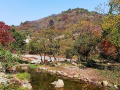 -武汉姚家山旅游景区